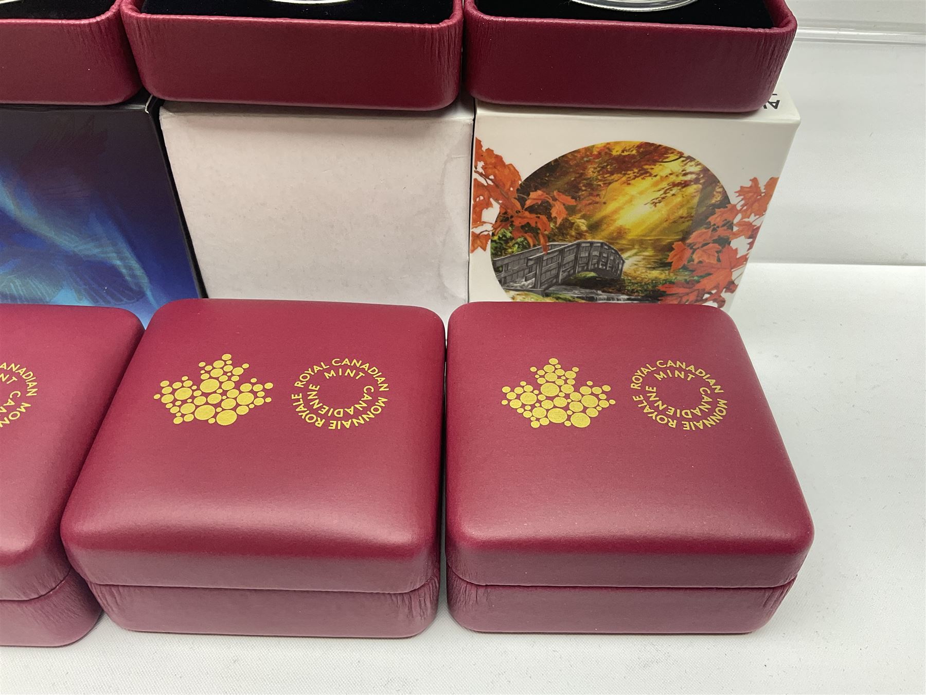 Eleven Royal Canadian Mint fine silver twenty dollar coins, including 2016 'A Royal Tour', 2017 'A Platinum Celebration', 2018 'A Nation's Mettle The Dieppe Raid', 2019 'Give Peace A Chance 50th Anniversary' etc, all cased with certificates