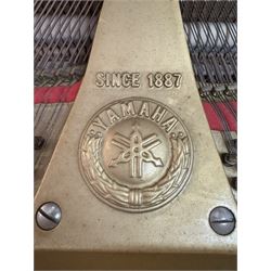 Yamaha - Baby Grand (5' 3