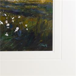 Jim Miller Wright (Scottish 1954-): 'Cotton Grass on Farndale Moor' North York Moors, oil signed with monogram, titled verso 51cm x 72cm 