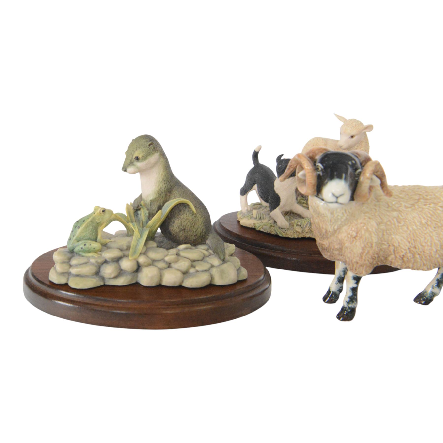 Border Fine Arts Jocks Pride, together with other Border Fine Art figures  