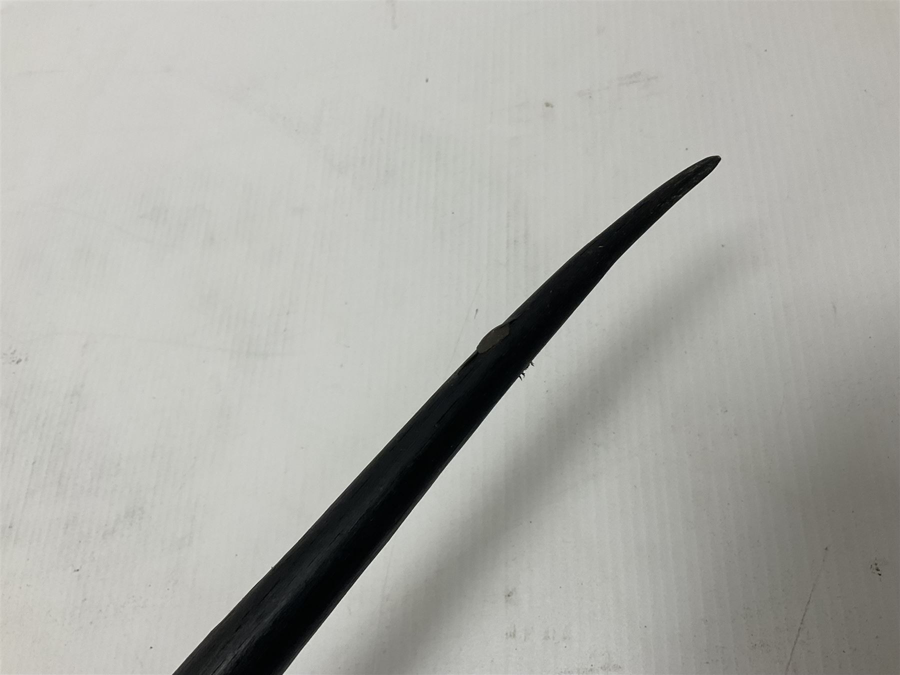 Antlers/Horns: Gemsbok Oryx (Oryx gazella gazella), pair of oryx curved horns on partial skull, mounted on an ebonised shield, H130cm