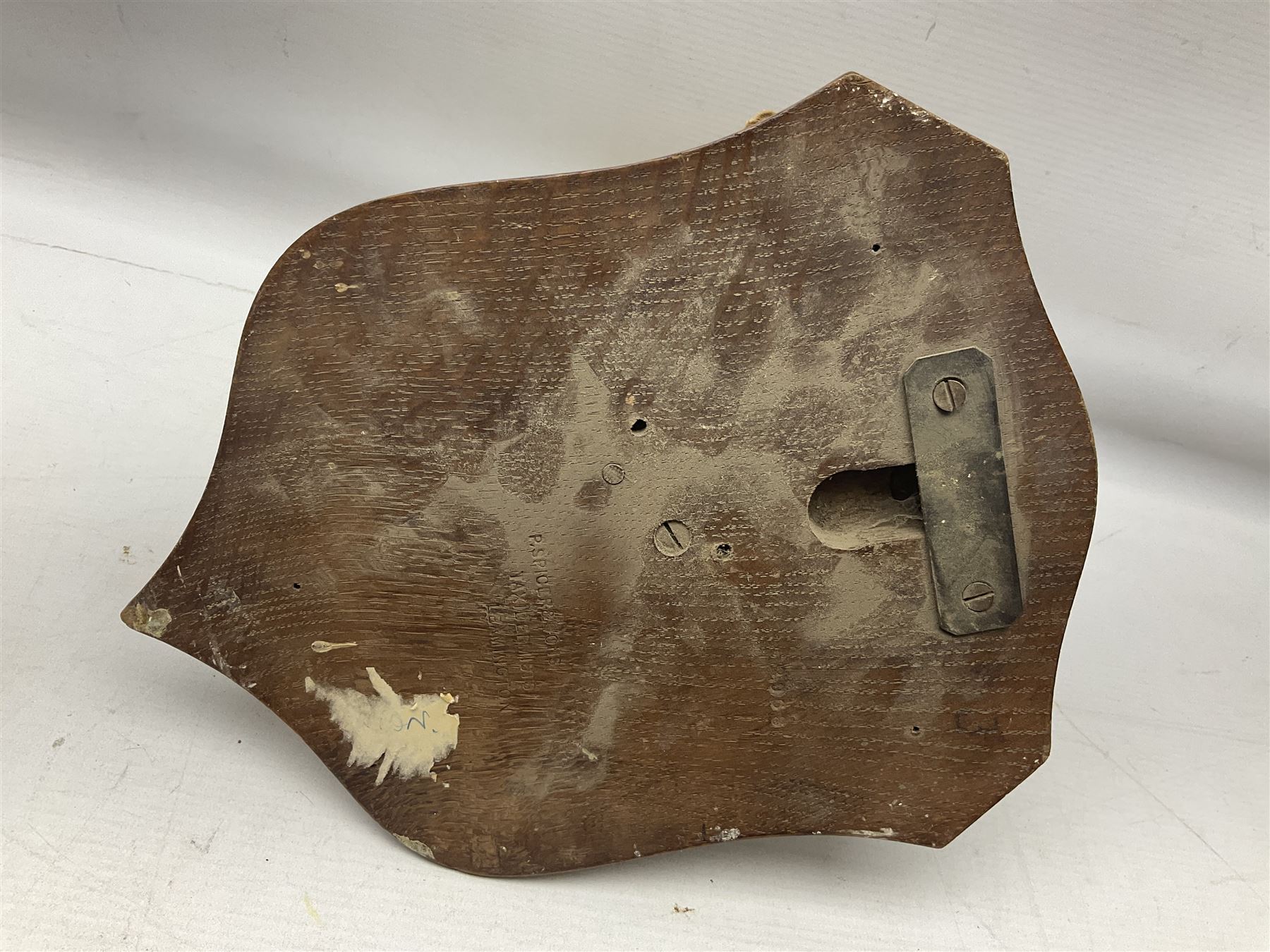 Taxidermy; Red Fox Mask (Vulpes vulpes) by Peter Spicer & Sons, Leamington, head turned to the left in snarling pose on oak shield with plaque 'Old Pumping Station Goathland March 31st 1933'