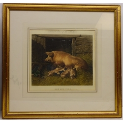  Cock Fighting Scenes - 'Set Too', 'Fight', 'Throat', 'Knock Down', 'Recovery' and 'Death', six 19th century aquatint's by N. Fielding hand coloured pub. 1853 by R. Ackermann (unframed), 'Sow and Pigs', 19th century engraving by J. Harris and 'Batchelor's Hall', 19th century engraving by Thomas Fairland max 42cm x 52cm (8)  