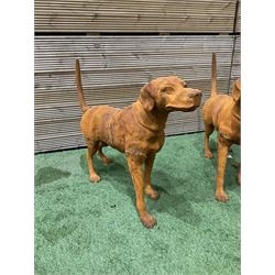 Pair of heavy cast iron garden Hunting dogs - THIS LOT IS TO BE COLLECTED BY APPOINTMENT FROM DUGGLEBY STORAGE, GREAT HILL, EASTFIELD, SCARBOROUGH, YO11 3TX