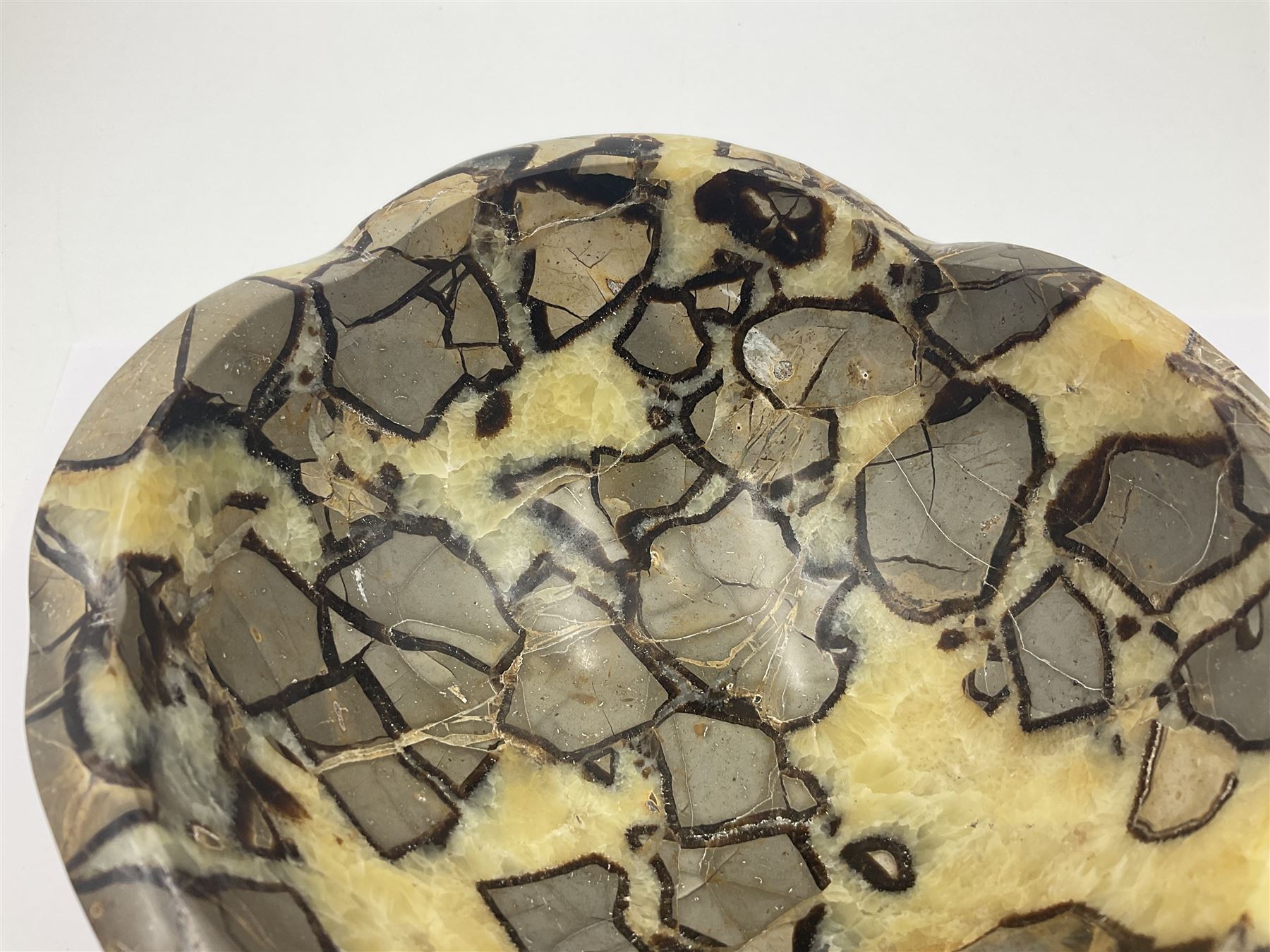 Polished septarian bowl, with a calcite and siderite within limestone rock, D16cm H8cm