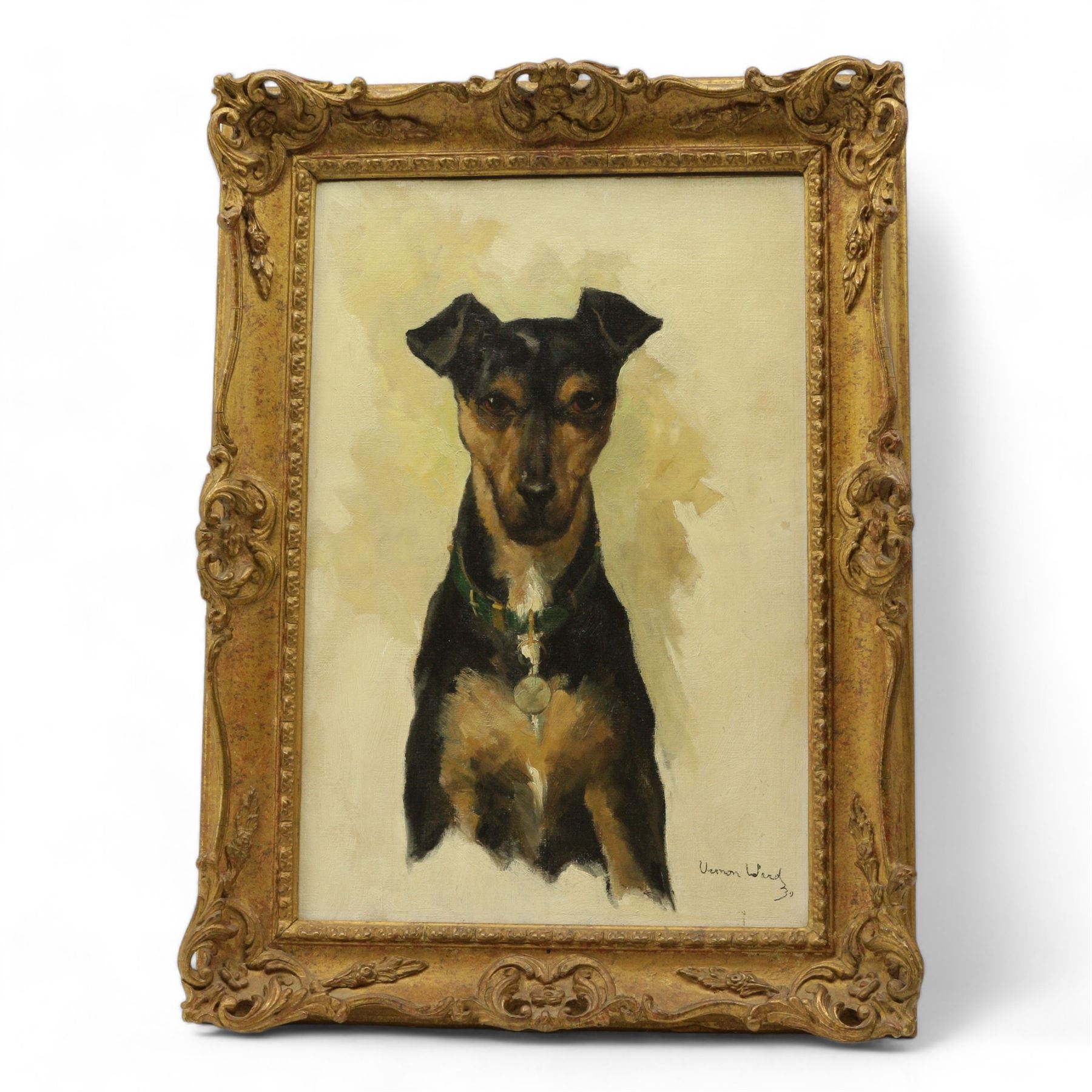 Vernon Ward (British 1905-1985): Portrait of a Manchester Terrier, oil on board signed and dated '30, 45cm x 29cm 