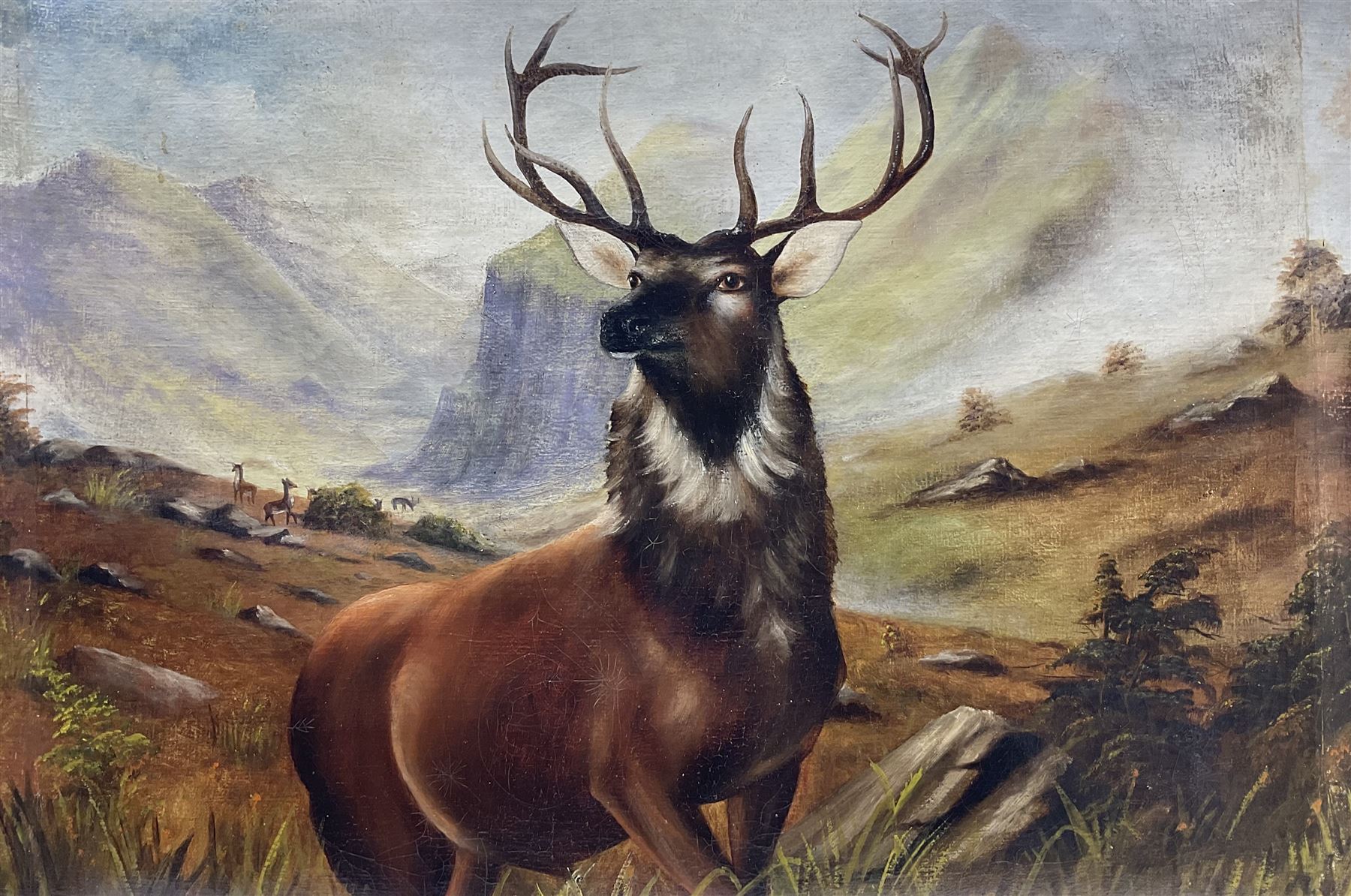 Scottish School (20th century): Monarch of the Glen, oil on canvas indistinctly signed J Doy in impressive gilt frame 59cm x 88cm