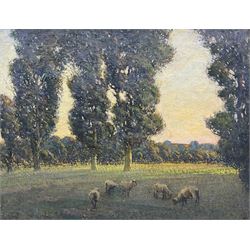 Paul Paul (Staithes Group 1865-1937): Sheep Grazing, oil on canvas signed 42cm x 55cm 
Provenance: from the collection of the artist's great granddaughter