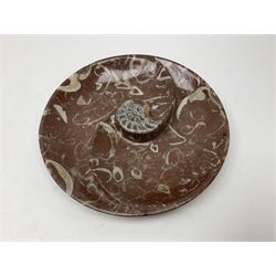 Large circular dish with a raised Goniatite to the centre and Orthoceras inclusion, age: Devonian period, location: Morocco, D30cm