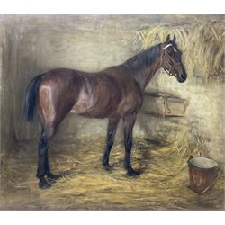 J E M (Early 20th century): Portrait of a Bay Hunter in Stable setting, oil on canvas signed with initials on the water bucket 72cm x 82cm 
