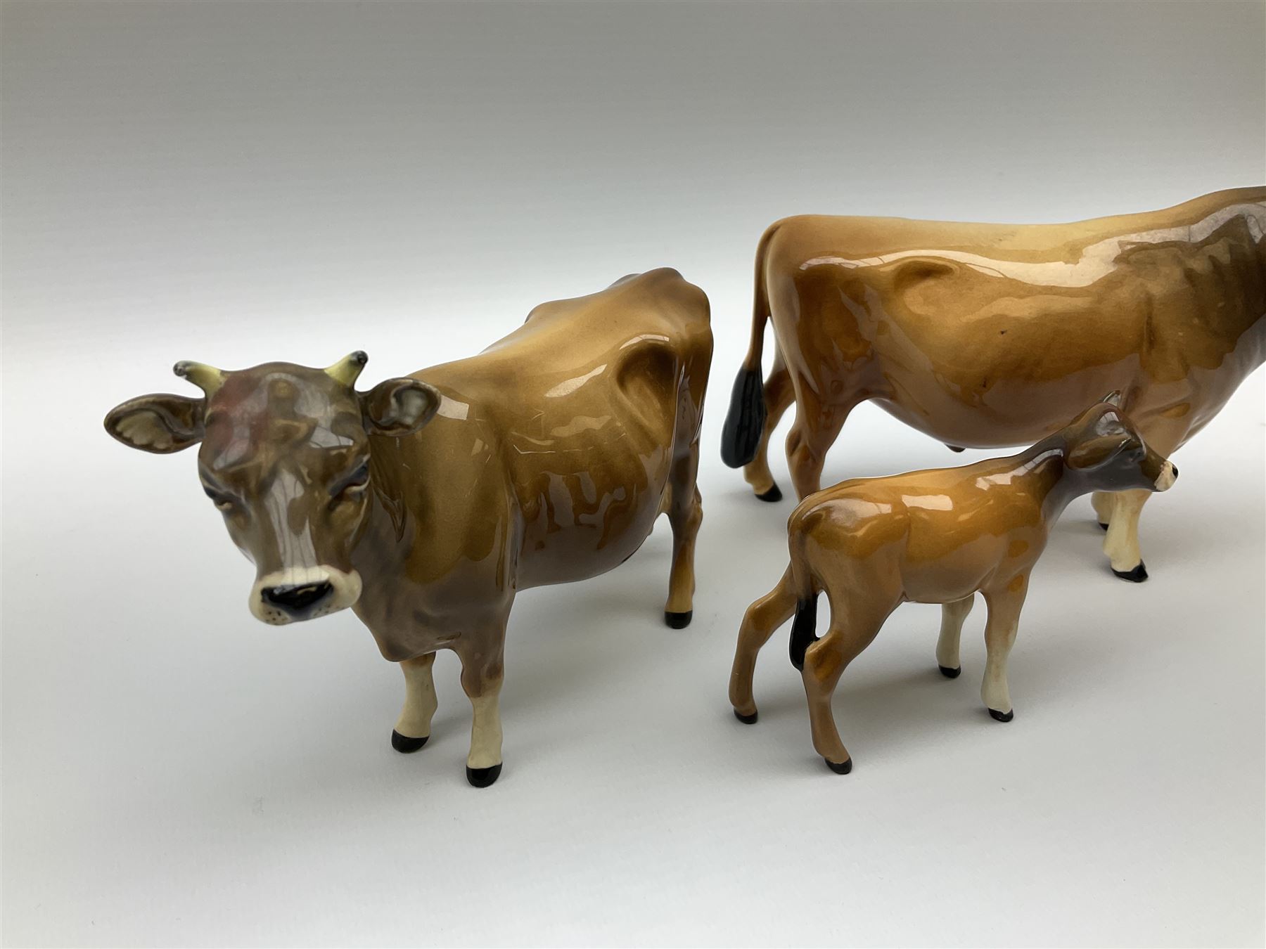 Beswick Jersey family group, comprising bull Dunsley Coy Boy model no 1422, cow Newton Tinkle model no 1345, and calf model no 1249d.