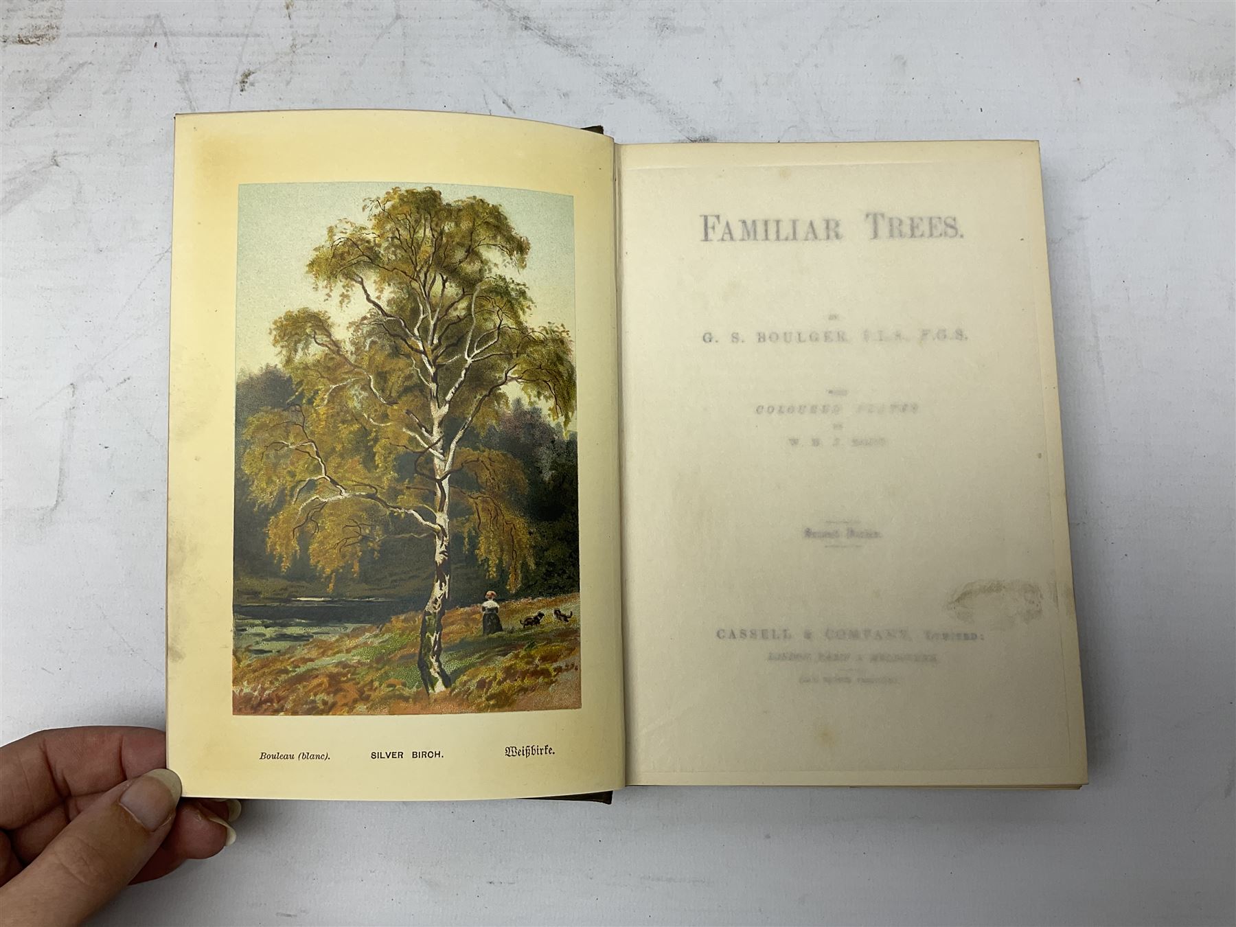 Maxwell, Herbert; 'British Fresh-Water Fish', Afalo, F.G; 'British Salt Water Fish', Hulme, F. Edward: 'Wild Fruits of the countryside' Boulger, G.S; Familiar Trees, two volumes, all with coloured plates, together with three other books