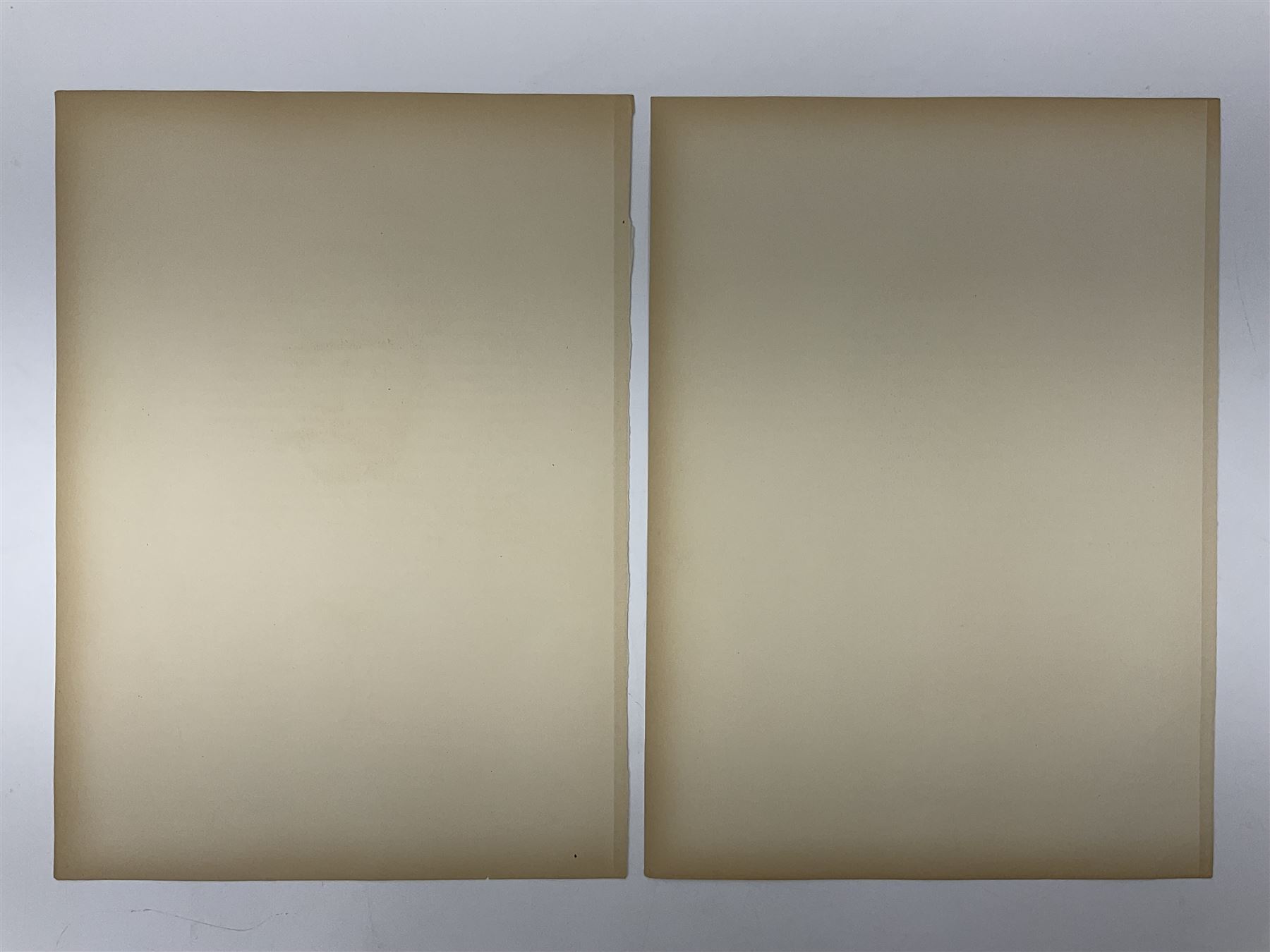 After Eugene Burnand, pair of colour prints of head and shoulder studies of Allies of the Great War depicting Canadian and Polish soldiers, image size 22 x 17cm; unframed (2)