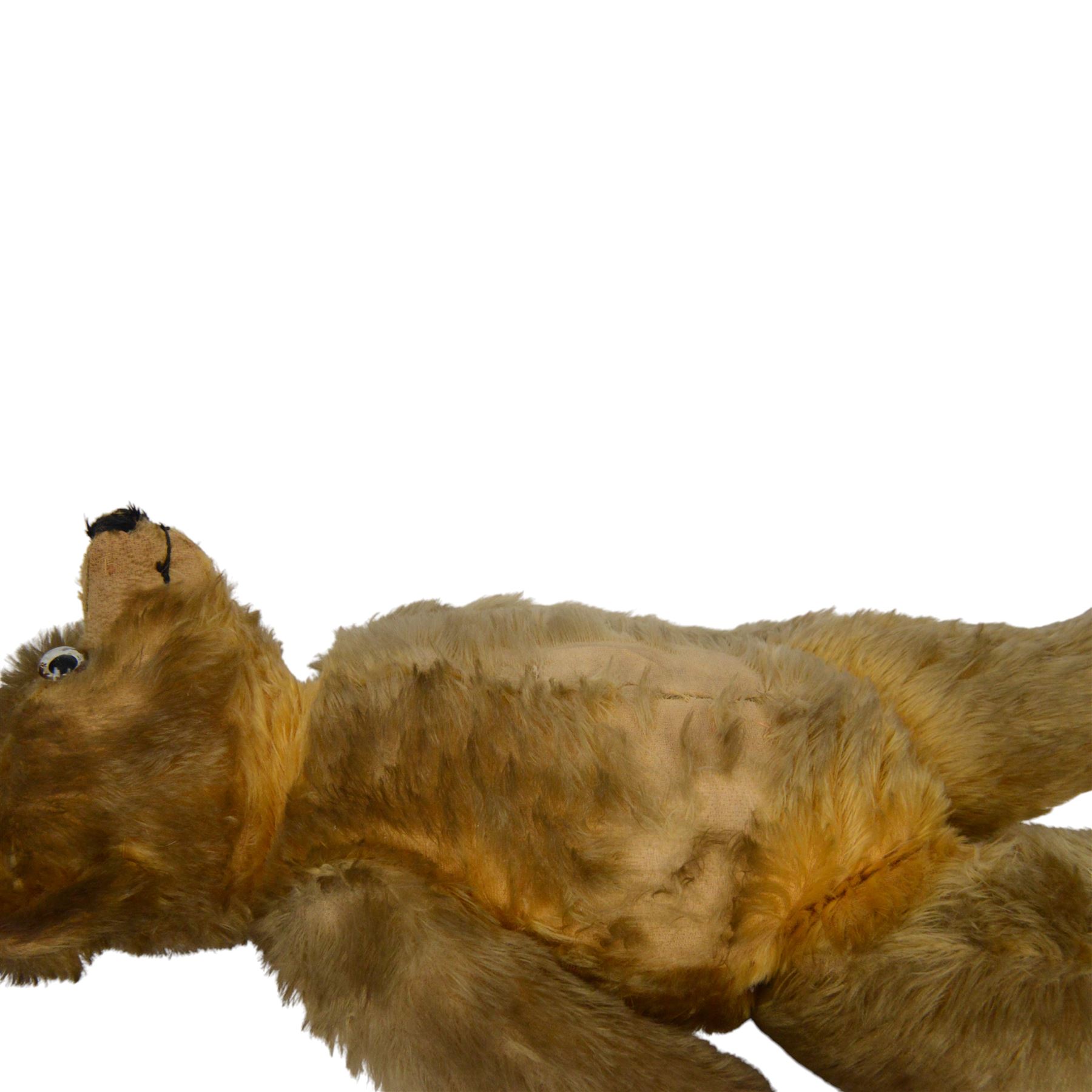 Early 20th century teddy bear, probably German, blonde mohair bear with glass eyes, straw filled snout with stitched nose, hand stitched centre seam, wood wool filled body, jointed limbs, swivel head and hump to back, H67cm