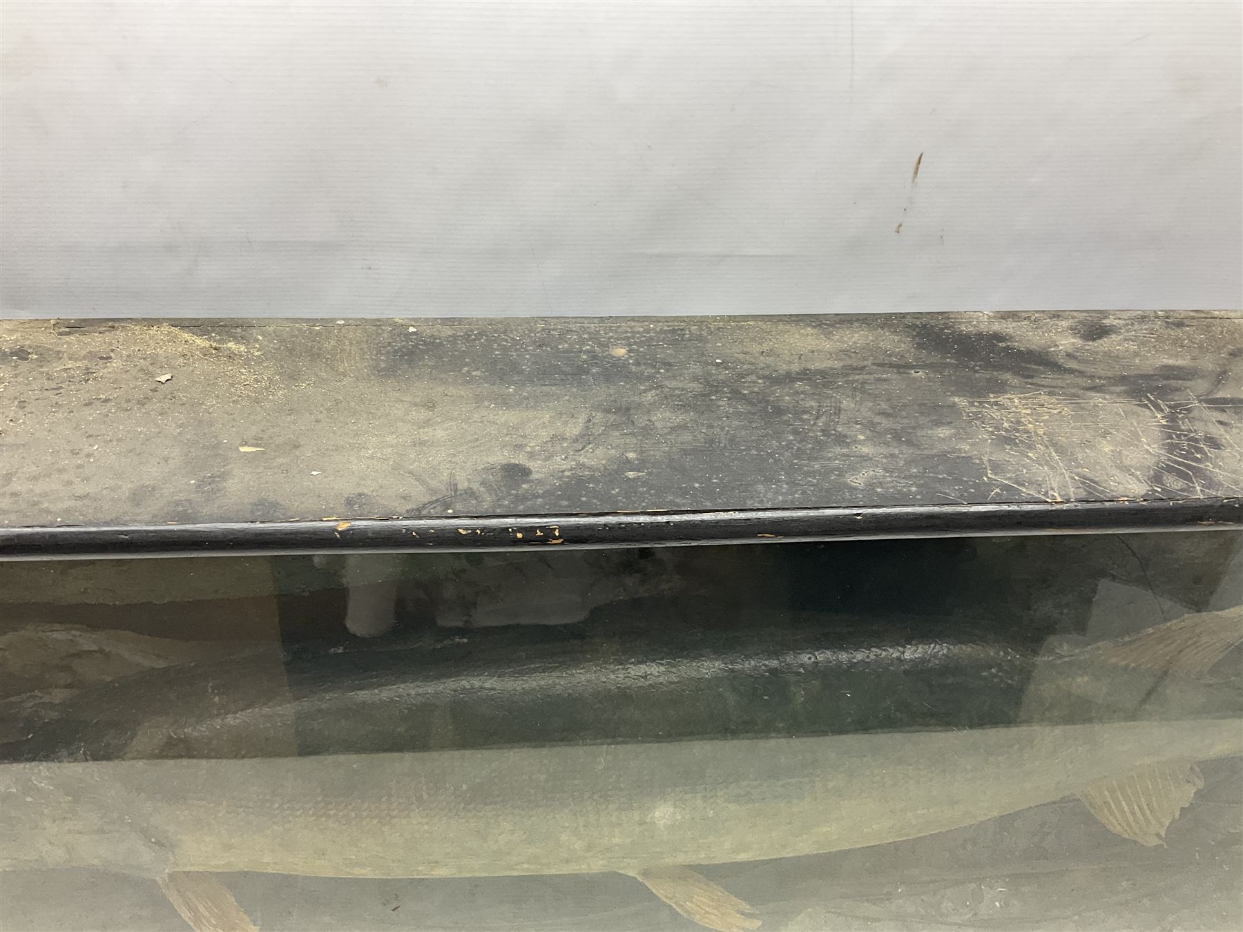 Taxidermy: Cased Northern Pike (Esox lucius), a large preserved skin mount set within a rocky river bed,  encased within a single pane display case, H41cm, L122cm