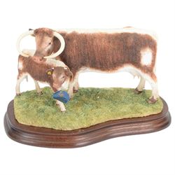 Border Fine Arts Longhorn Cow and Calf, model B0993, on wooden base with certificate