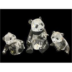 Swarovski Crystal panda family group, comprising an adult and two cubs, adult H11cm