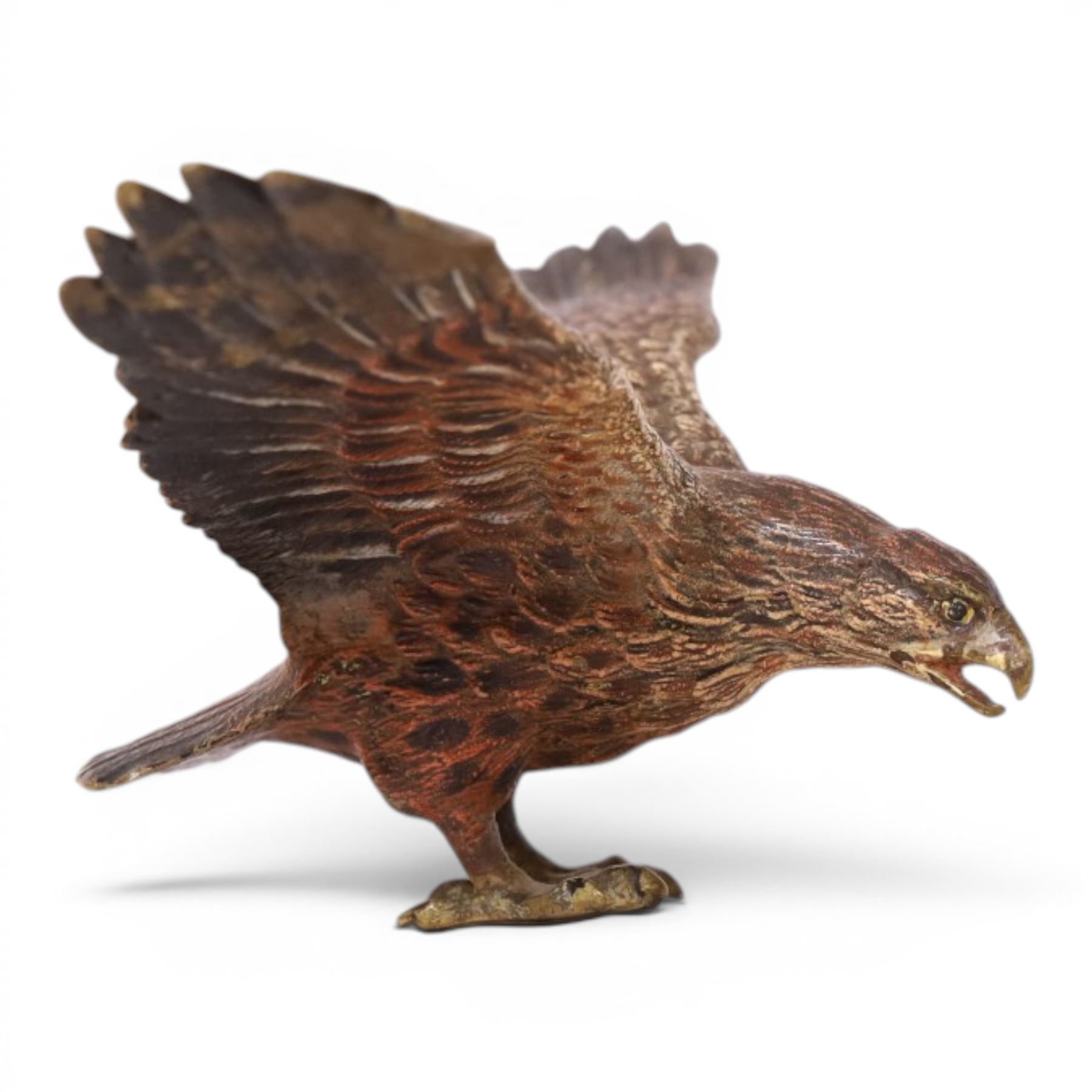 20th century cold painted bronze eagle with spread wings, H8cm, L18cm