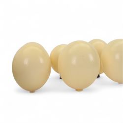 Six blown Ostrich (Struthio) eggs