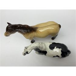 Beswick dun Highland pony no 1644 and piebald Pinto Pony  no 1373, both with printed mark beneath