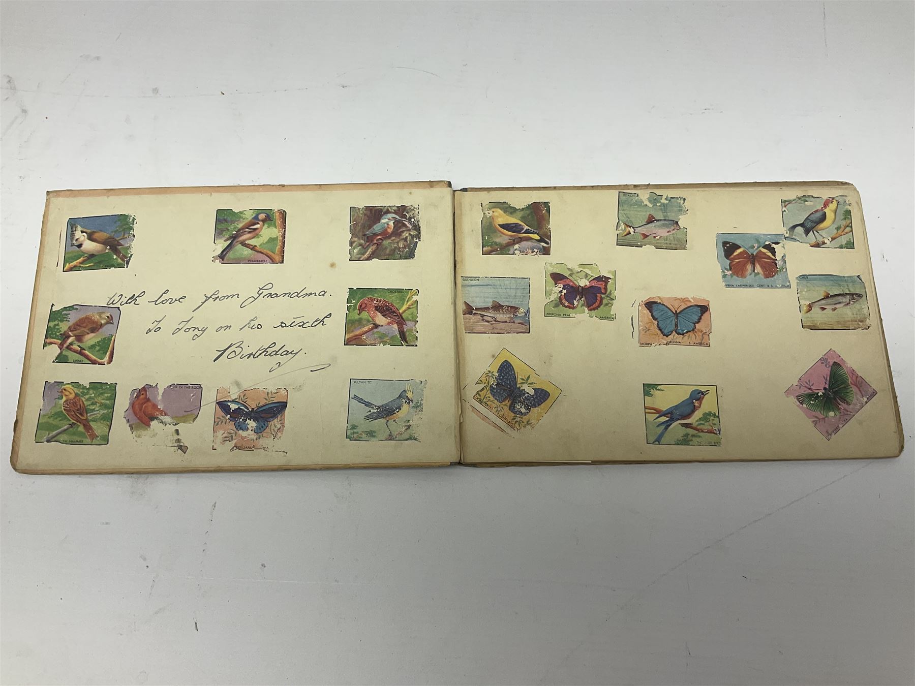 Joyce Dennys, Puffin Twink & Waggle 'at the seaside', 'at the fair' and 'at home', together with Susan Gladstone 'Bruno and His Friend Chimp' and L'Oiseau de Feu (Firebird) 'Scheherazade'