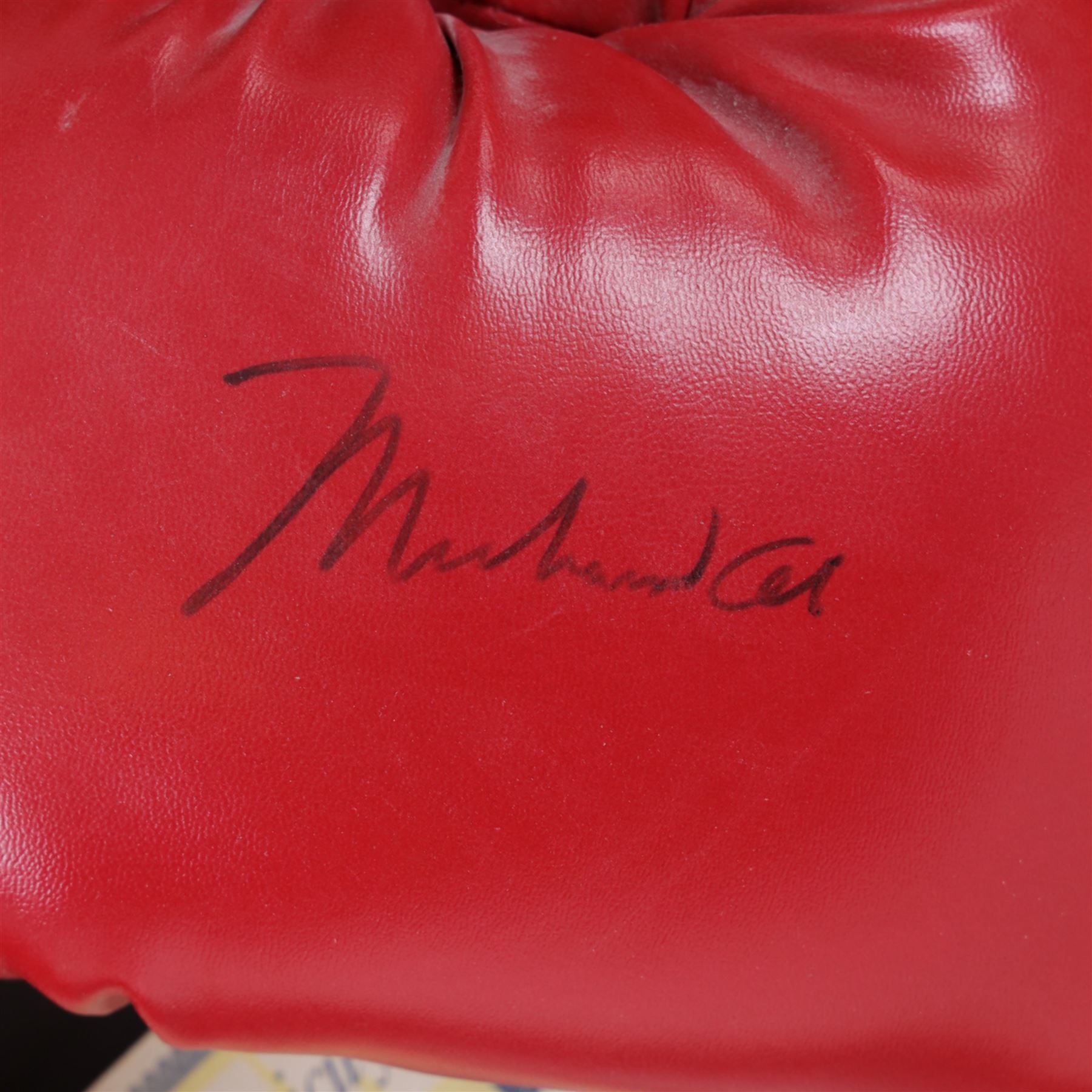 Large framed display containing two Everlast boxing gloves, one signed Mohammed Ali, displayed in frame with black and white photograph of Mohammed Ali speaking with Michael Parkinson, the signed glove has a Steiner authenticity hologram affixed and comes with certificate of authenticity from Steiner Sporting Memorabilia, frame H73cm