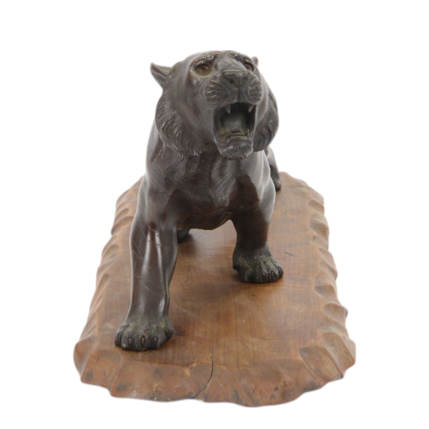 Japanese Meiji period bronze, modelled as a crouching tiger, its head raised in a roar, with glossy stripes and naturalistic mane, with seal mark for Mitsumoto saku, upon a carved softwood stand, bronze H20.5cm L46cm
