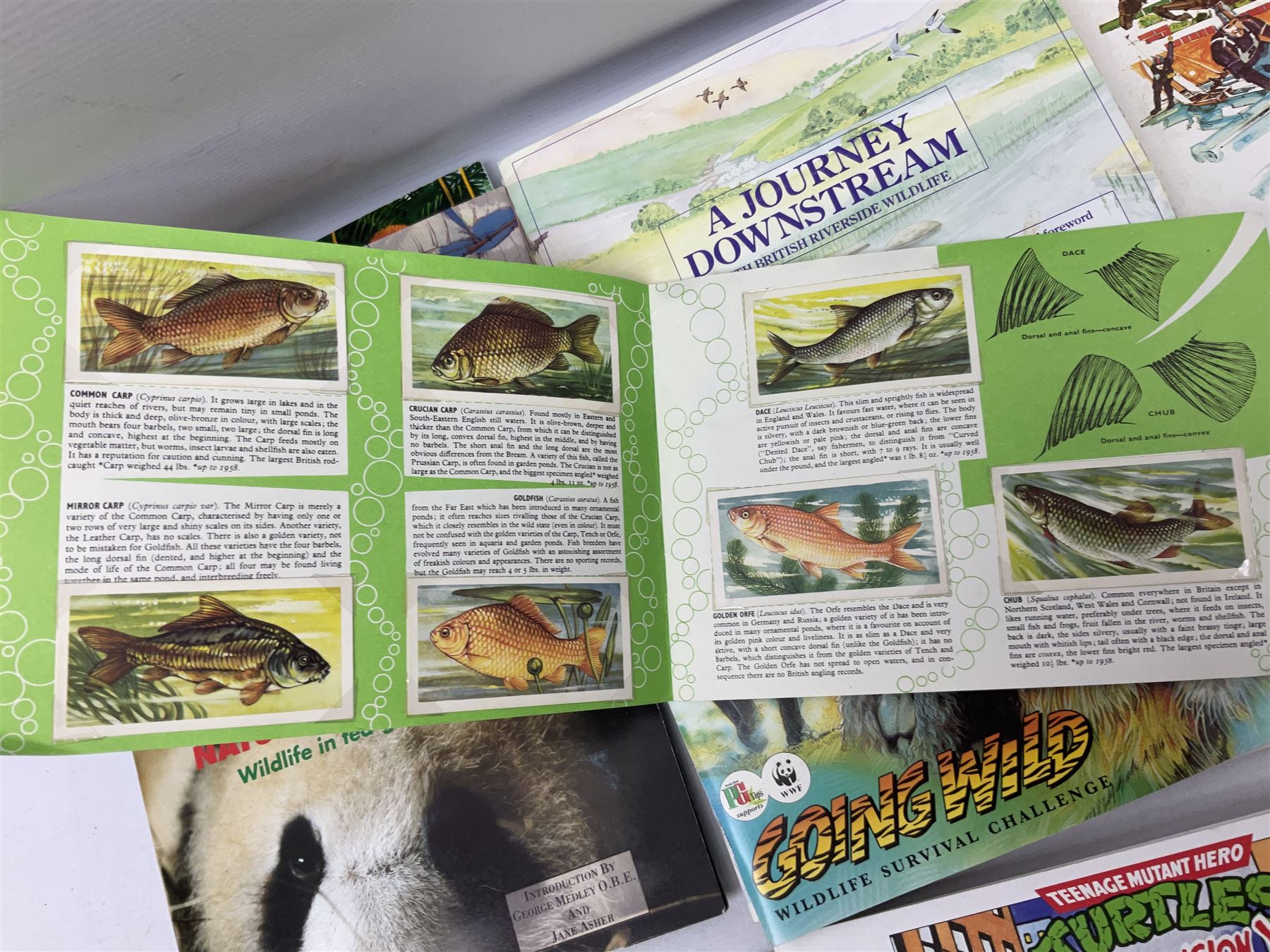 Quantity of Brooke Bond Picture Cards, to include a journey downstream, Olympic greats, History of Aviation, Fresh Water Fish etc  