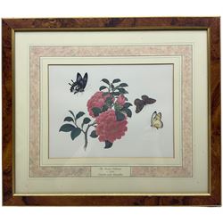 After Franz Andreas Bauer (Austrian 1758-1840): Botanical Studies, set of three limited edition prints for the Natural History Museum together with a set of four other prints from the Reeves Collection with British Museum stamps, certificates verso max 32cm x 21cm (7)