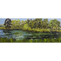  Wooded River Landscape, late 20th century oil impasto on board unsigned 35cm x 85cm  