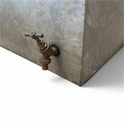 IAE - two galvanised water troughs with taps