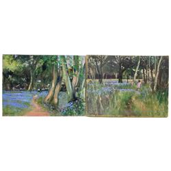 Malcolm Ludvigsen (British 1946-): Bluebell Woods - 'Bishops Palace York' and 'End of Heslington Golf Course', near pair oils on canvas signed dated 2005 and 2003 verso 46cm x 61cm (2)