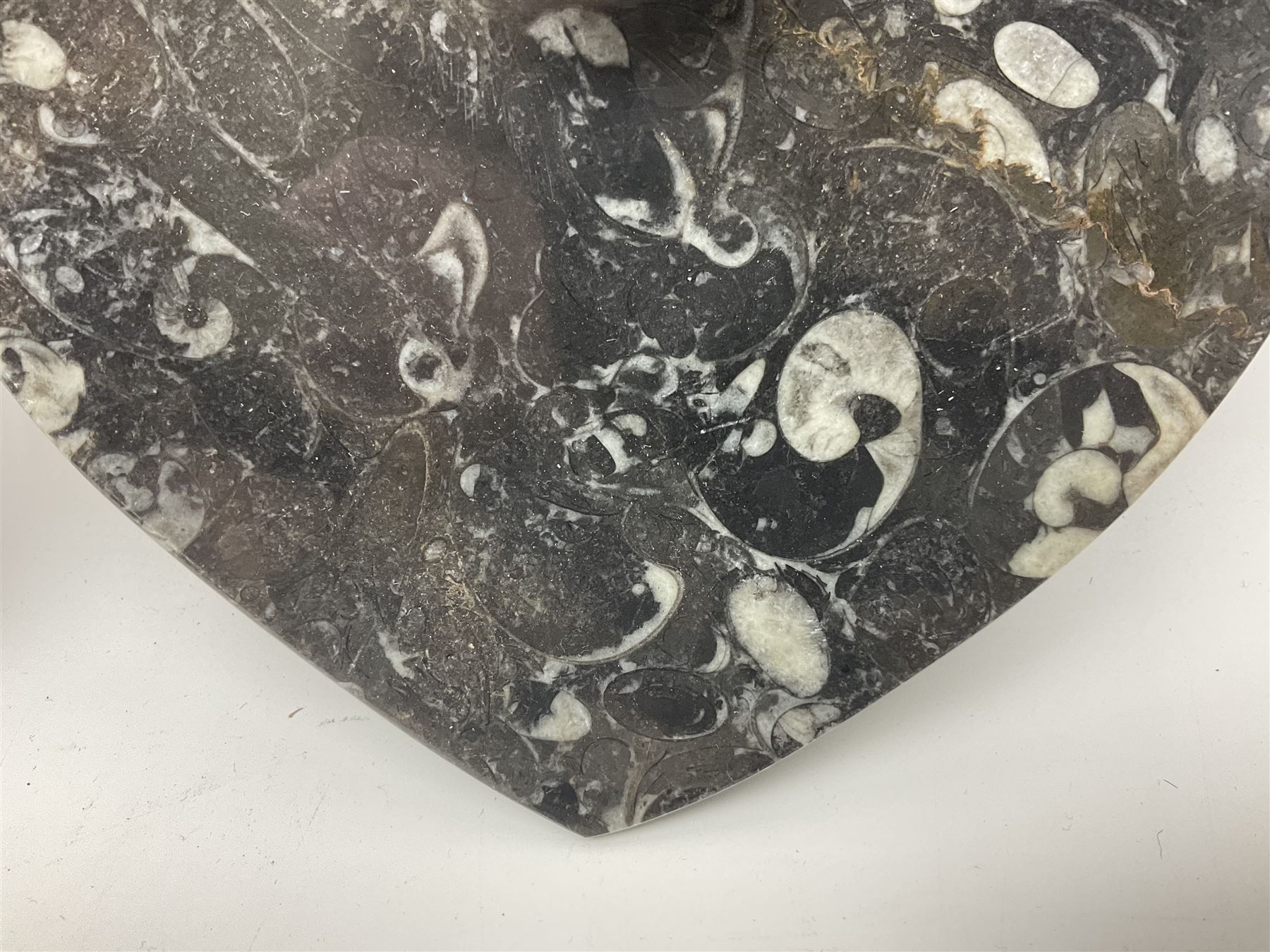 Pair of dishes in the form of hearts with a raised Goniatite to the centre and Orthoceras and Goniatite inclusions, age: Devonian period, location: Morocco, D16cm