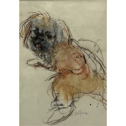 Neil Forster (British 1942-2016): Dog Portrait, pastel signed 35cm x 25cm