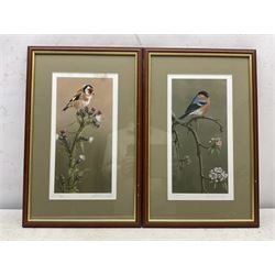 Robert E Fuller (British 1972-): 'Goldfinch on Thistle' and 'Bullfinch On Blossom', pair limited edition colour prints signed and numbered 432/850 and 196/850, respectively, 17cm x 33cm (2)