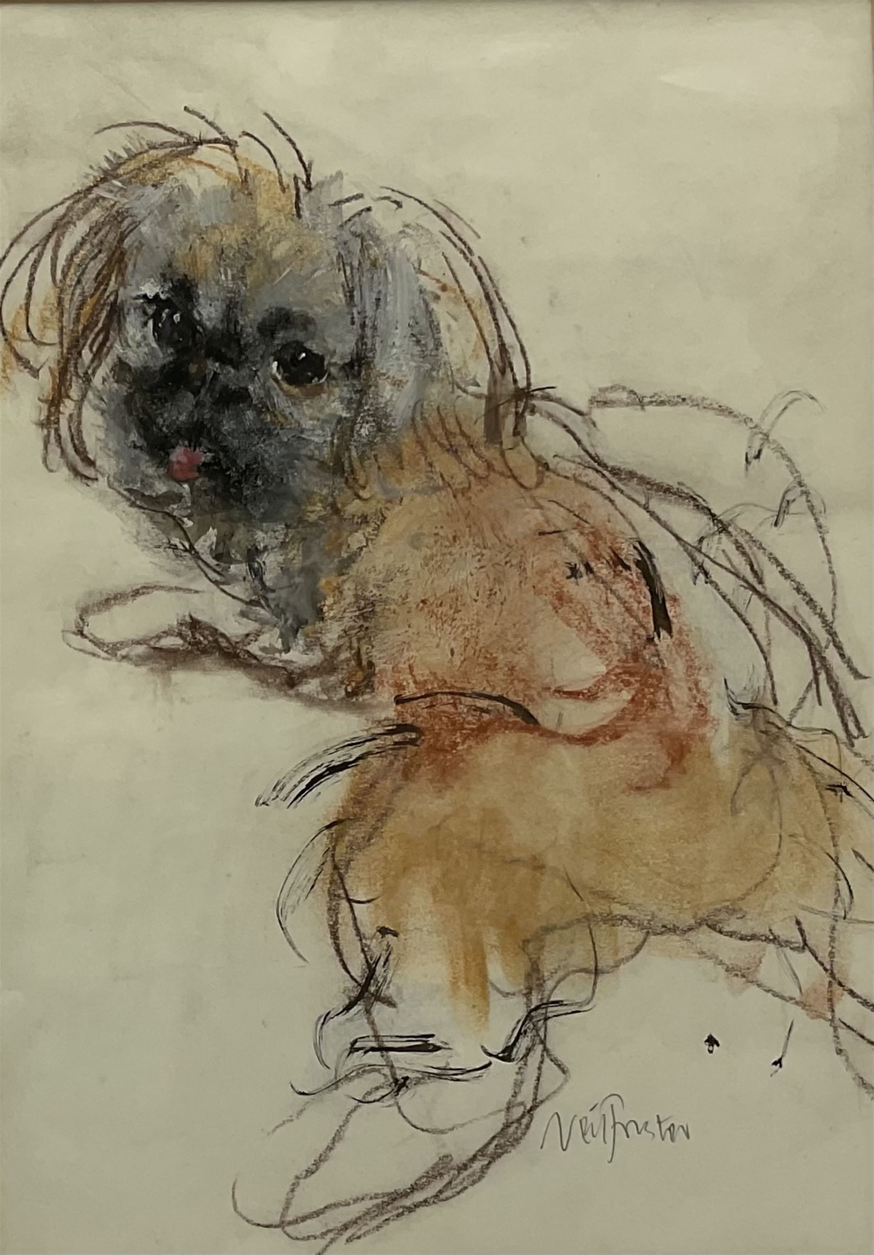 Neil Forster (British 1942-2016): Dog Portrait, pastel signed 35cm x 25cm