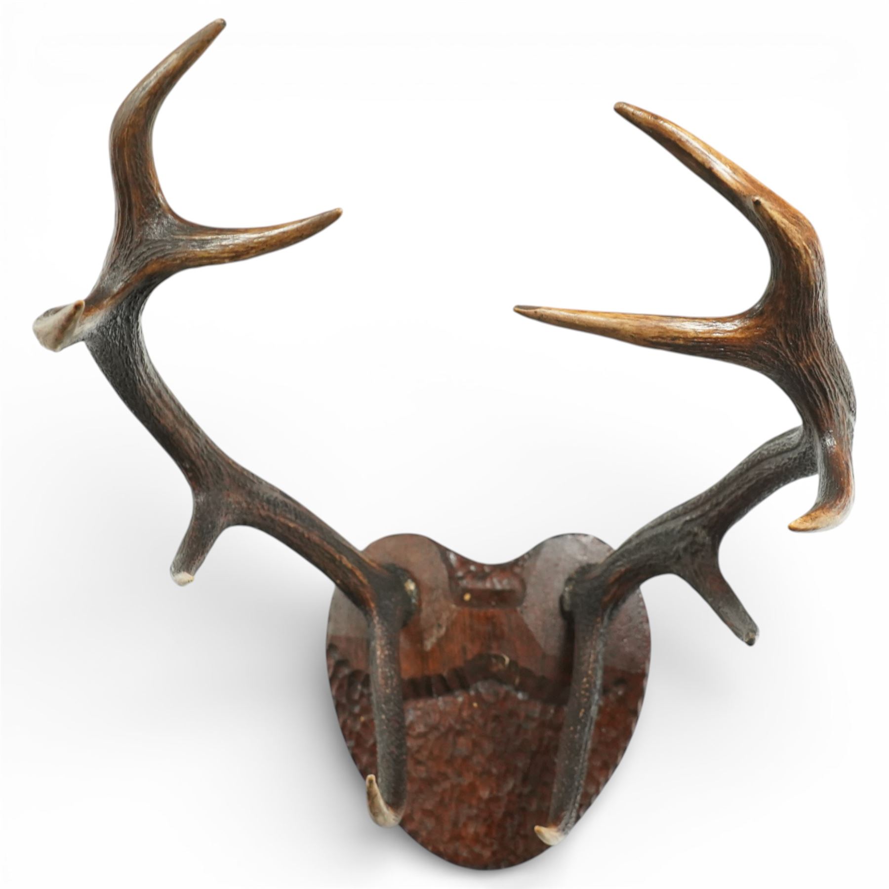 Antlers/Horns - Eight point antlers with partial skull on carved wooden plaque, W49cm and another set of eleven point antlers on carved wooden plaque, W47cm (2)