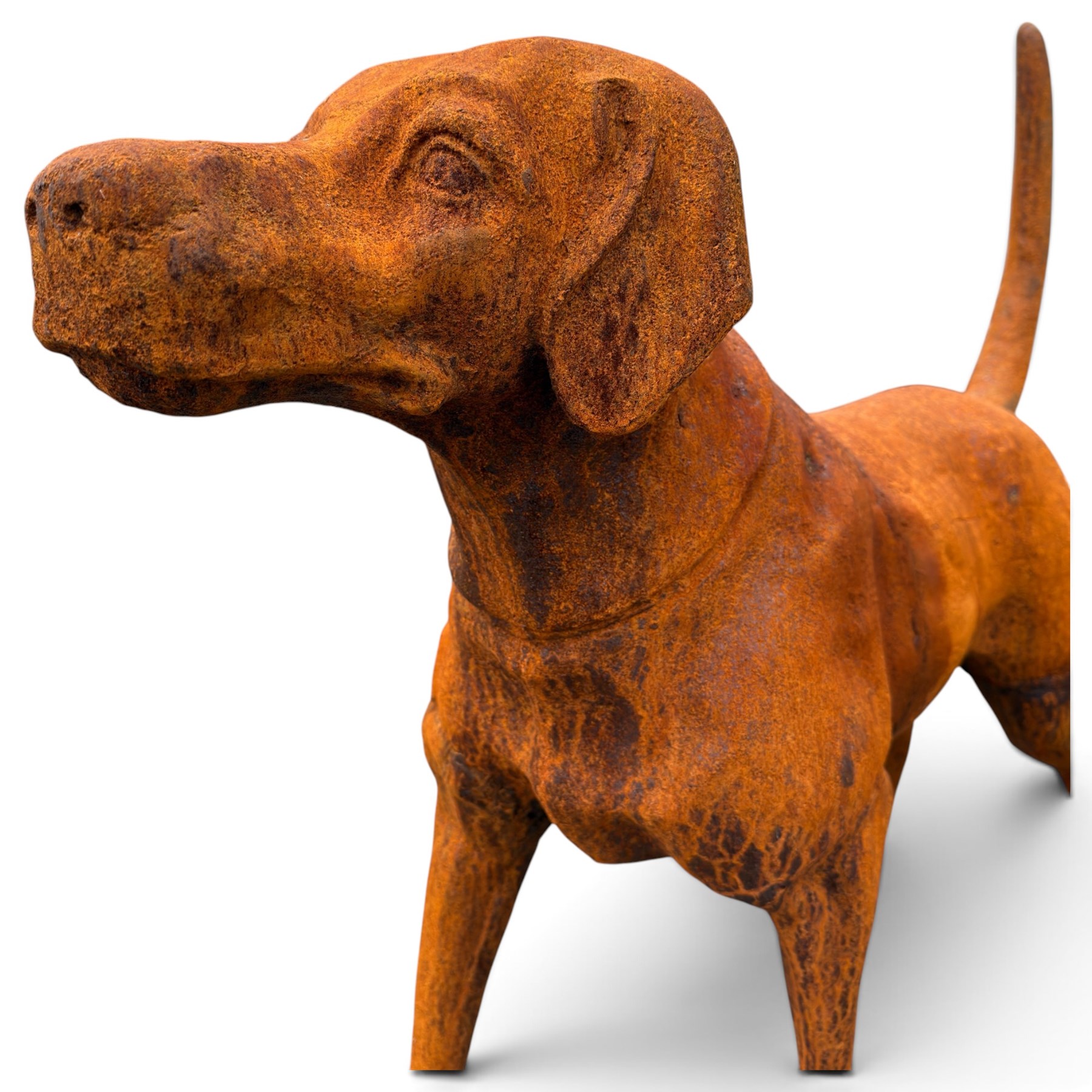 Pair of weathered cast iron garden statues in the form of standing foxhounds with outstretched tails and collars, in rusted patina