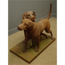  Life sized weathered cast iron figure of two labradors on rectangular plinth, one standing and one sitting, H73cm, W105cm  