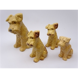  Four Sylvac Terrier Dogs, models 1379 & 1380 H26cm max (4)  