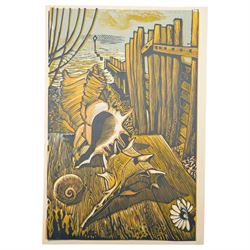 Frederick George Austin (British 1902-1990): Seashells by Groynes, colour linocut signed in pencil 37cm x 25cm (unframed)
Provenance: direct from the granddaughter of the artist