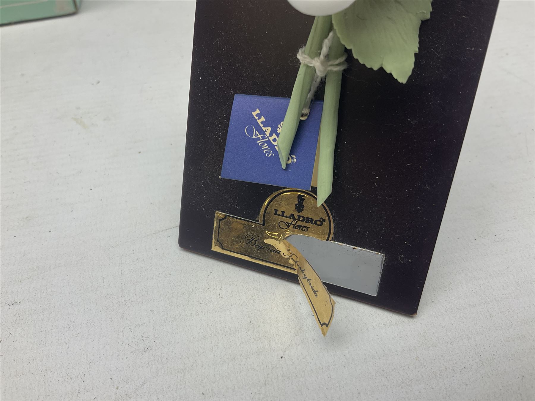 Seven Lladro flowers, comprising Japanese Camelia on base no 5181, Yellow Begonia on base no 5186, Miniature Begonia on base no 5188, Chrysanthemum on base no 5189, California Poppy no 5190.B, Miniature Begonia 5188.B and White Carnation no 5184.B, together with Lladro Spanish Joining pack with 17616 Winter Bell, Additional Lladro parasols and flowers etc 