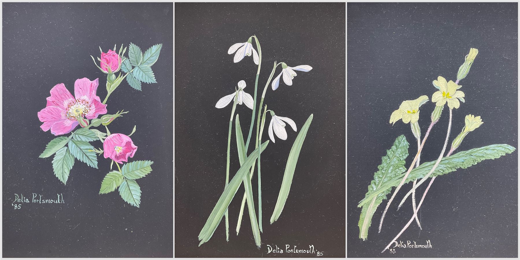 Delia Portsmouth (British 1916-): Flower Studies, set three oils on board signed and dated, 19cm x 14cm (3)