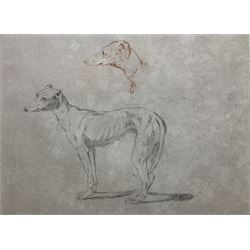 English School (18th Century): Study of a Greyhound, pencil and chalk unsigned 14cm x 19cm
