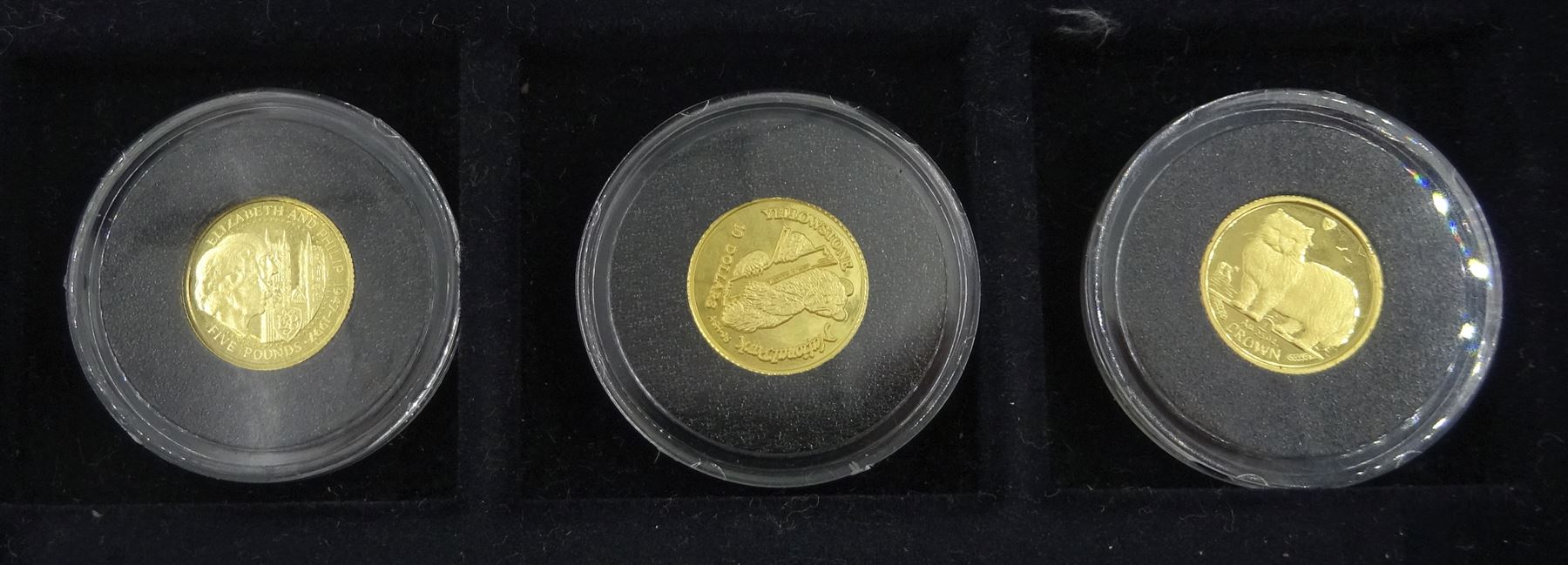 Fifteen gold coins from 'The Smallest Gold Coins of the World Collection', including Isle of Man 1989 1/25 ounce crown, Australia 1991 1/20 ounce five dollars, China 1995 1/20 ounce panda etc