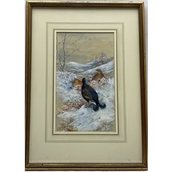 James Stinton (British 1870-1961): Pheasants and Grouse in Winter Landscapes, pair watercolours heightened in white signed 28cm x 16.5cm (2)