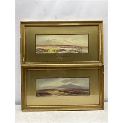 Herbert William Hicks (British 1880-1944): 'King's Tor near Princetown' and 'Cox Tor near Tavistock' Dartmoor, pair watercolours signed, titled on the mounts 13cm x 36cm (2)