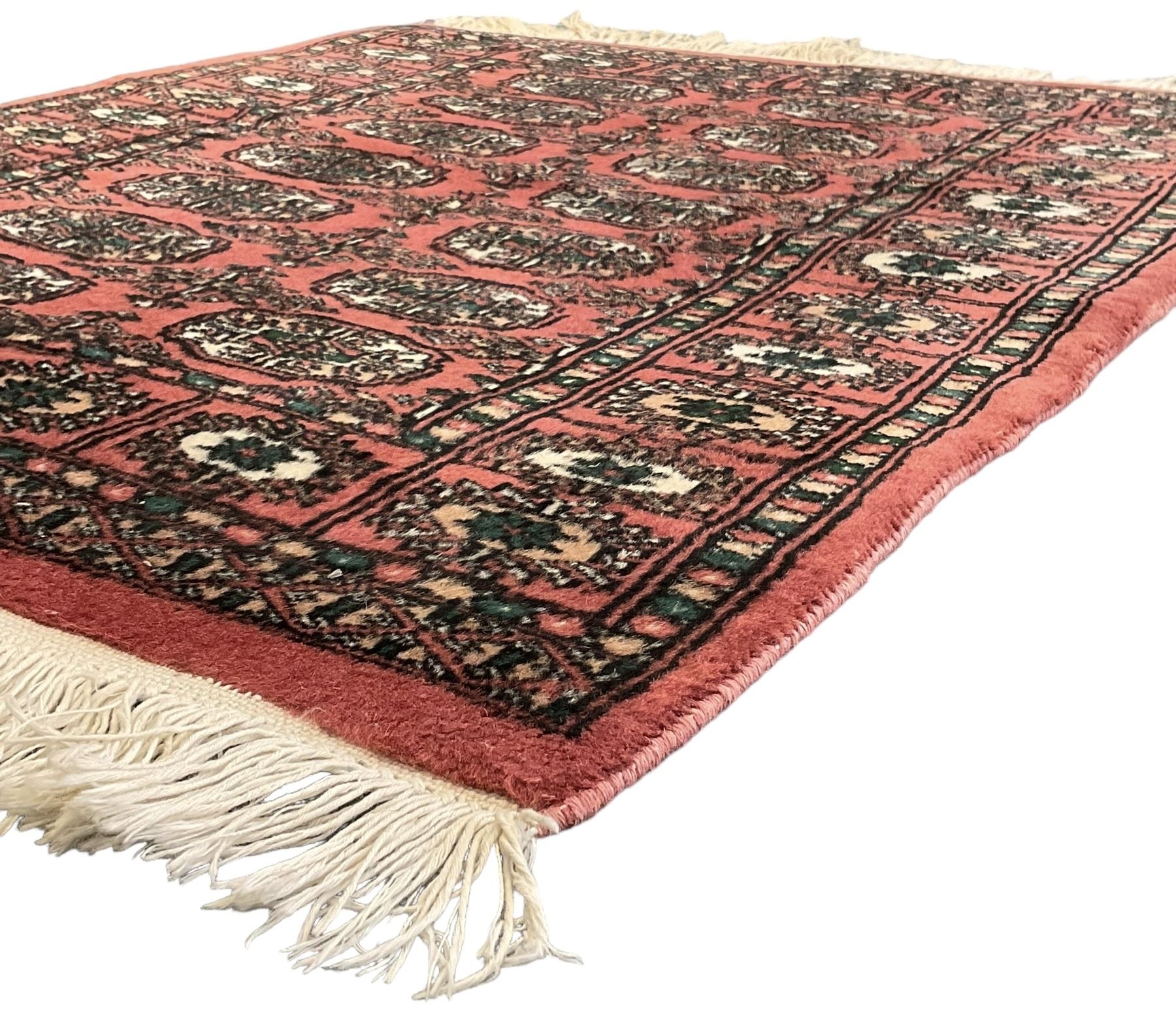 Small peach ground Bokhara rug, decorated with two rows of Gul motifs 