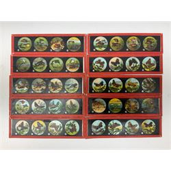 Ten Primus magic lantern slides of butterflied and fish, together with ten GNB magic lantern slides depicting stories of childhood,   