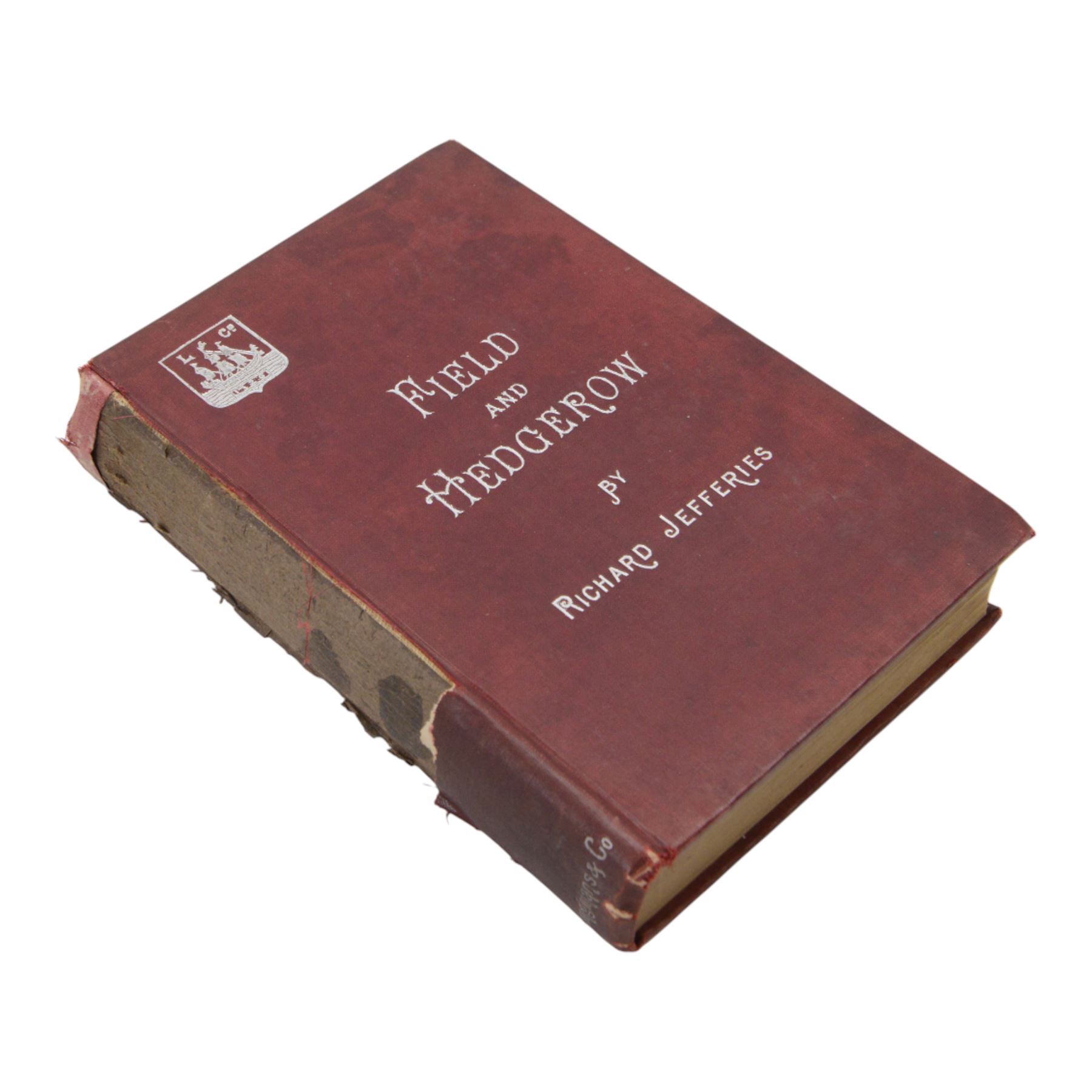 Richard Jefferies; collection of eleven books, including Wild Life in a Southern Country, The Open Air, Amaryllis at the Fair, The Story of my Heart etc  